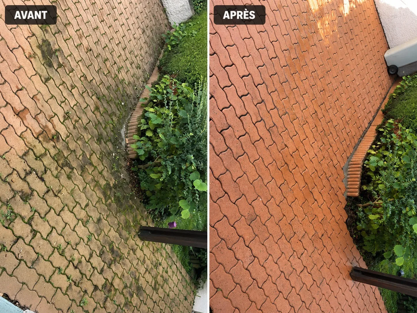 Pavage moussu avant et propre après nettoyage